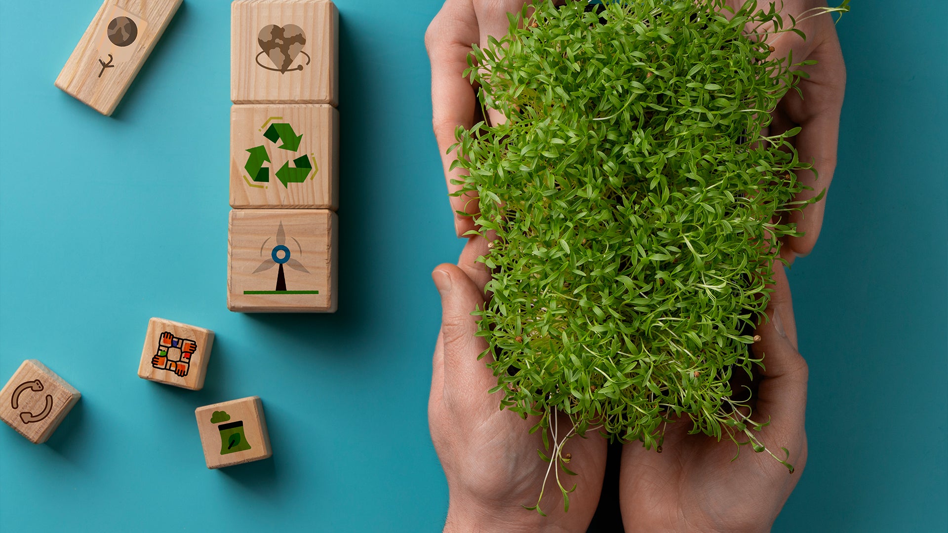 Stitching a Sustainable Future: Transforming the Clothing Industry Through Sustainability