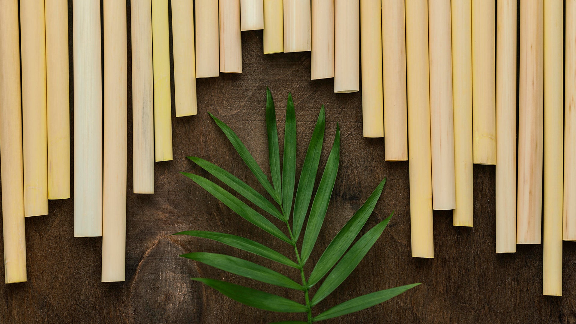 Embracing Sustainable Fashion: Bamboo as a Versatile Clothing Material